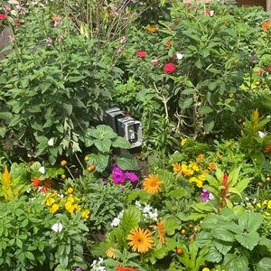 Meet your Posher, Tracey